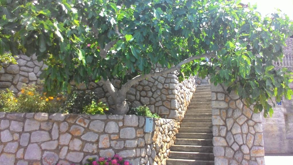 Apartment And Rooms Busa 3 Senj  Rom bilde